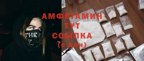 spice Инта