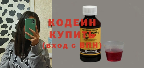 spice Инта