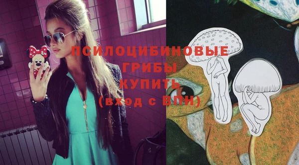 мяу мяу мука Иннополис