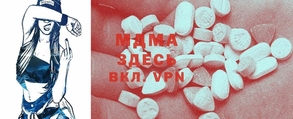 spice Инта