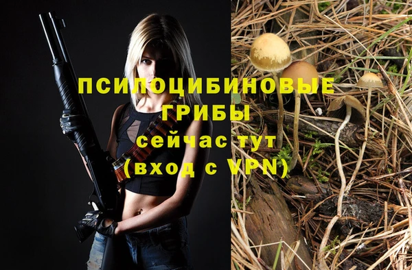 гашишное масло Лабытнанги