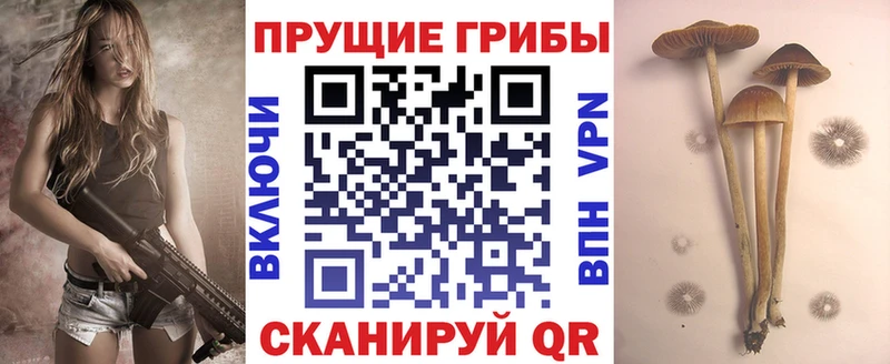 Галлюциногенные грибы Cubensis  Льгов 